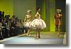 Ivana Follov�